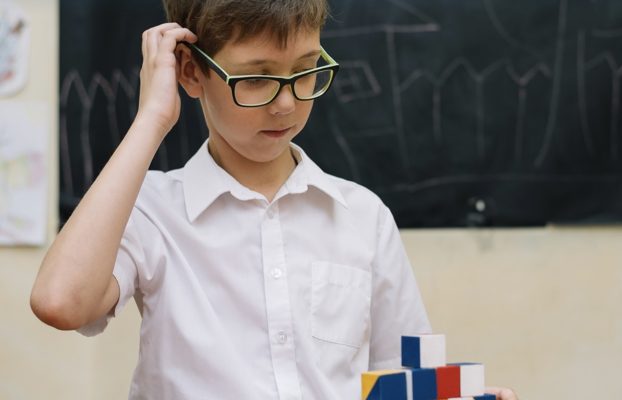 Mind Engineering: Memorization and Learning Strategies According to the Multiple Intelligences Matrix